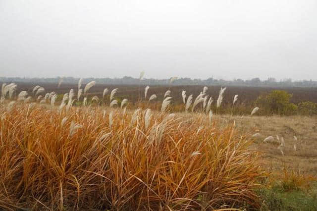 武汉800年未被开发的风水宝地，1.5元随便玩，撒野地图上的遗珠