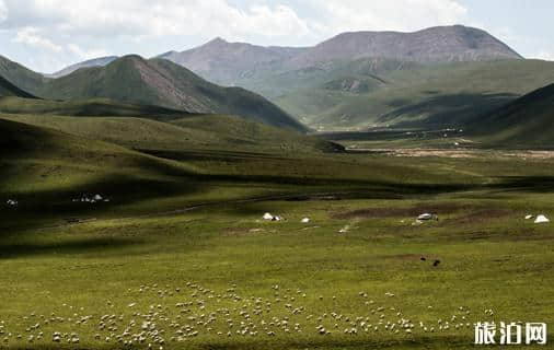 西宁最美的十大旅游景点排行榜推荐