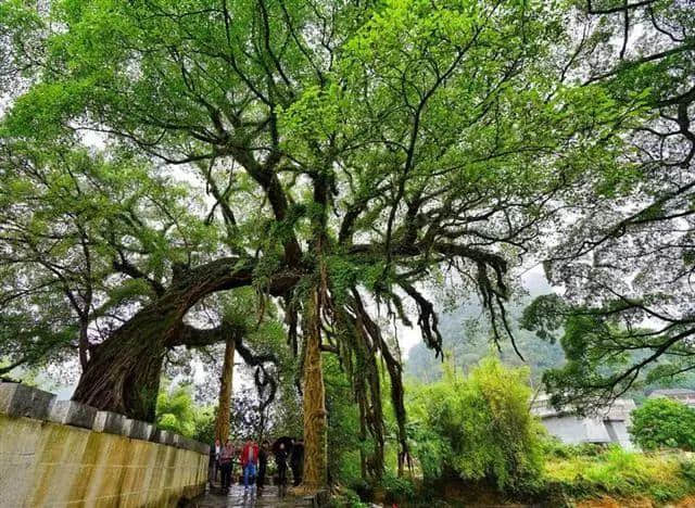 头条 | 趁着阳光正好、微风不燥，来贺州打卡这些经典景点吧