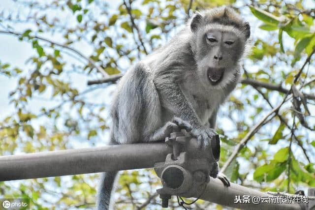 到云南旅游必须要去的三个地方，不去会后悔！「云南旅游在线」