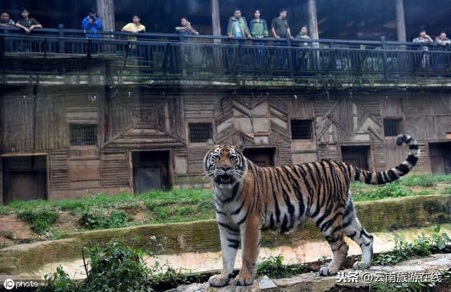 到云南旅游必须要去的三个地方，不去会后悔！「云南旅游在线」