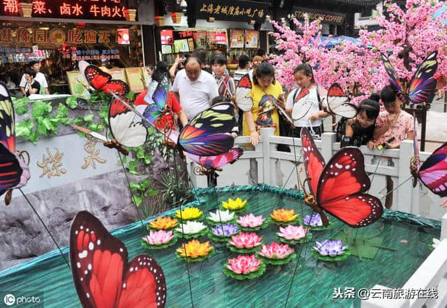 到云南旅游必须要去的三个地方，不去会后悔！「云南旅游在线」