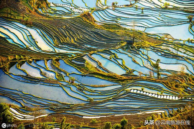 到云南旅游必须要去的三个地方，不去会后悔！「云南旅游在线」