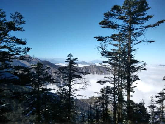 大量美图慎入！西岭雪山超强干货旅游攻略，仙山此处寻！