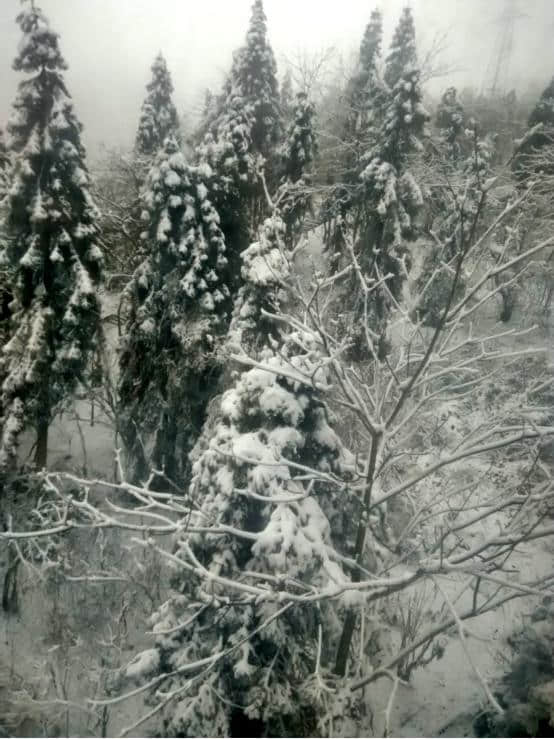 大量美图慎入！西岭雪山超强干货旅游攻略，仙山此处寻！