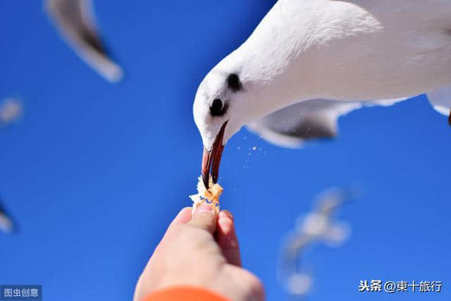 深圳出发，往返大理自驾游，11天时间如何安排？