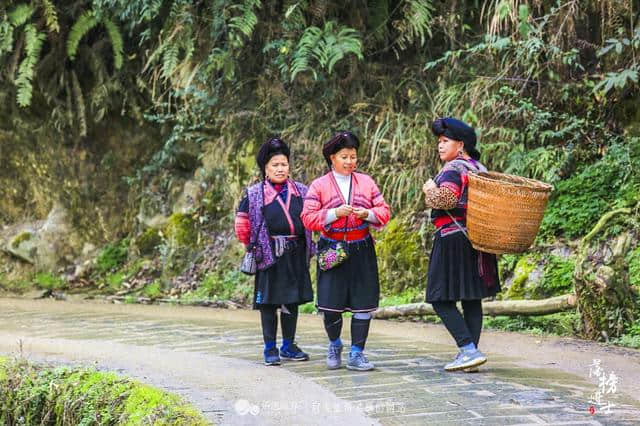 龙脊梯田，这里充满了原始田园风光