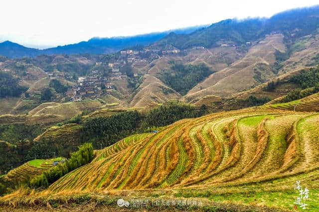 龙脊梯田，这里充满了原始田园风光