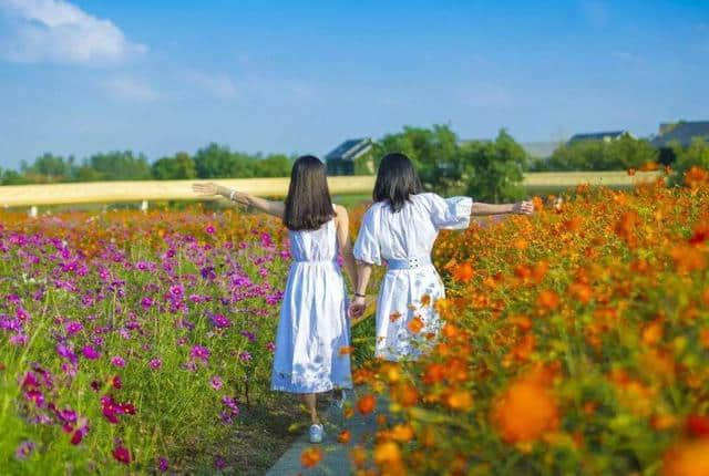 西安最全赏花地图，遇见最美的花，还有一处美景在大学