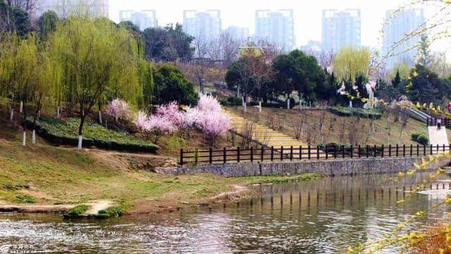 西安最全赏花地图，遇见最美的花，还有一处美景在大学