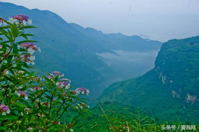 广安天意谷景区——重庆后花园，自驾游广安最美丽的避暑旅游胜地