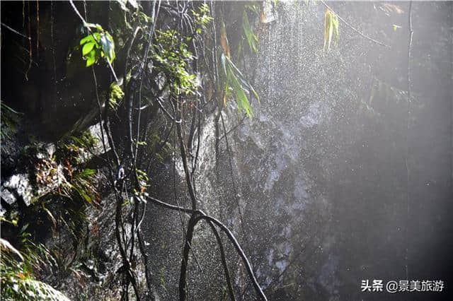 广东清远有个亚马逊雨林，森林瀑布蠢鱼一应俱全