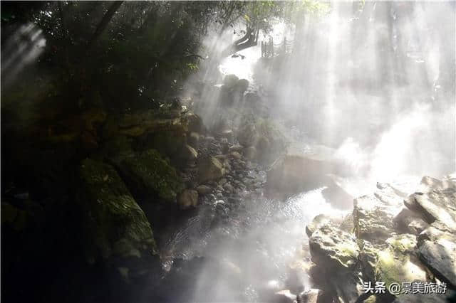 广东清远有个亚马逊雨林，森林瀑布蠢鱼一应俱全