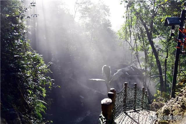 广东清远有个亚马逊雨林，森林瀑布蠢鱼一应俱全