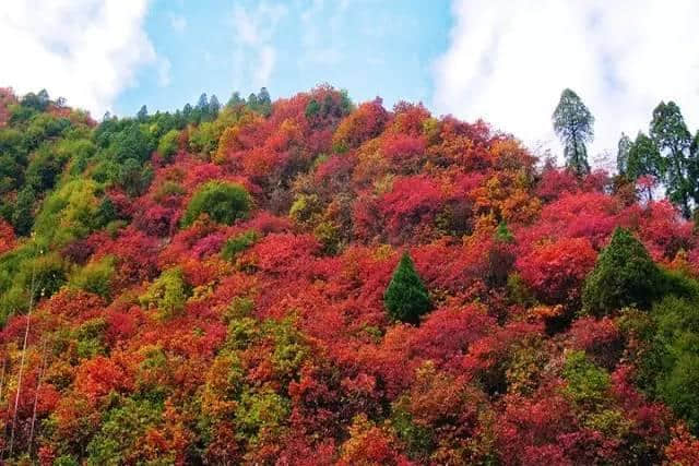 陕西秋天最“色”的旅游线路，国庆就去这儿了!