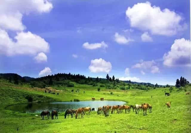 中国旅游日广安及周边景区门票优惠全在这里了~