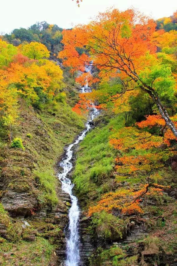 景美、人少、还不远！西安周边这几个地方赏秋最美，快收藏！