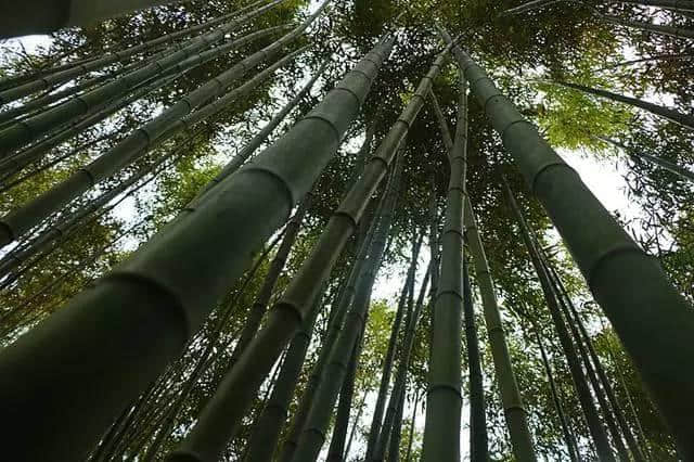 西安周边9个免费、僻静的自驾圣地，美景美食都不误，周末浪走