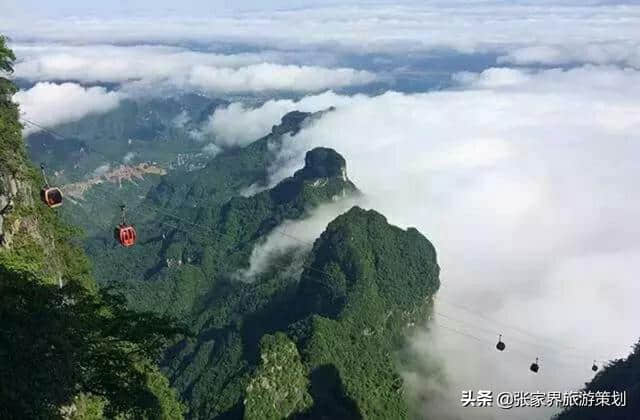 广东朋友们来张家界自驾游，吃住行旅游详细攻略