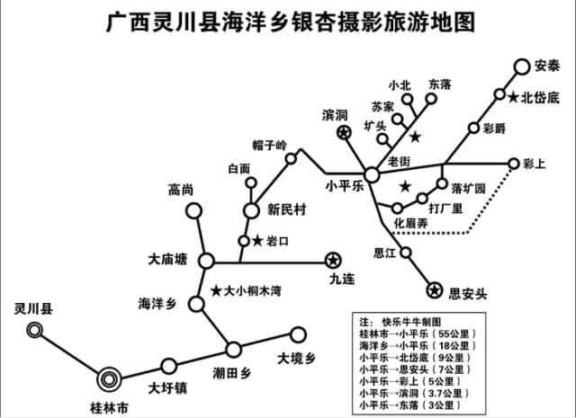 头条｜广西这个地方已经变成一片金色海洋，赶紧先睹为快！