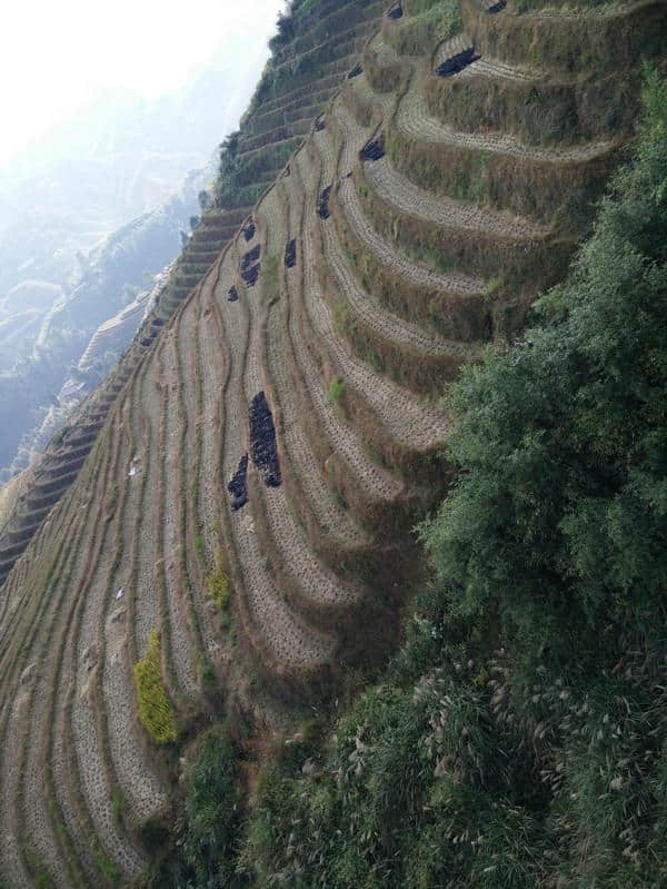 两天走遍龙脊梯田（一）