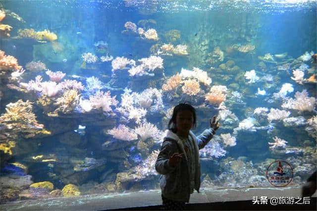 广西旅游胜地，北海亲子游好去处，很适合夏天游玩