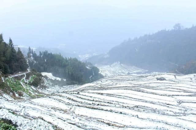 美翻了！龙胜各地雪纷飞