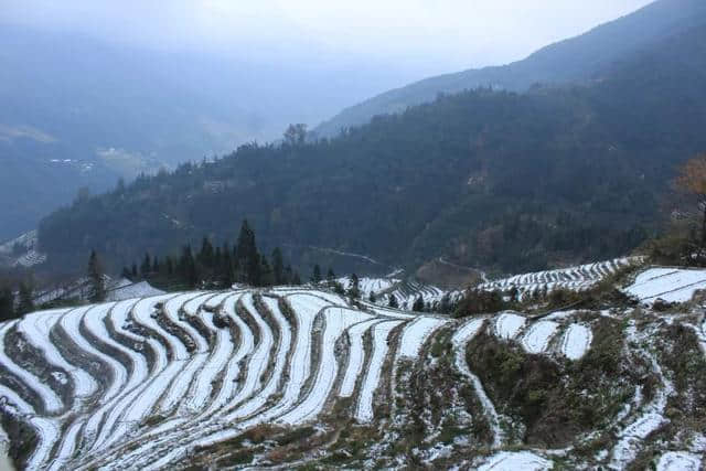 美翻了！龙胜各地雪纷飞