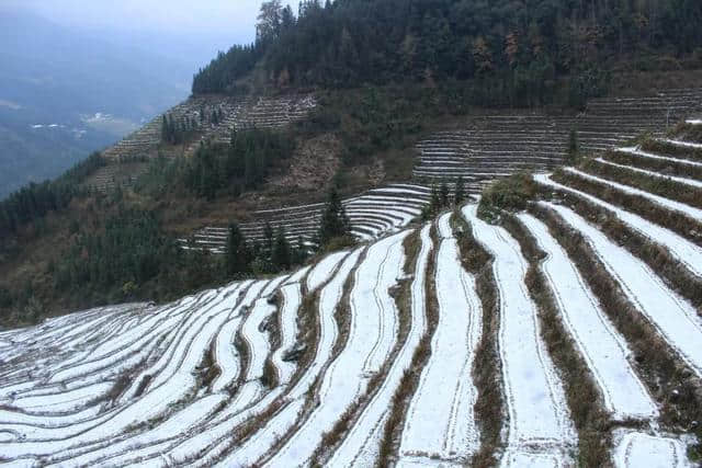 美翻了！龙胜各地雪纷飞