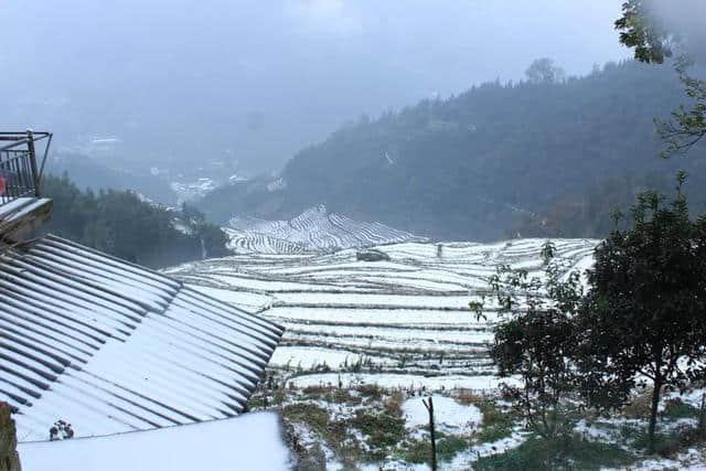 美翻了！龙胜各地雪纷飞