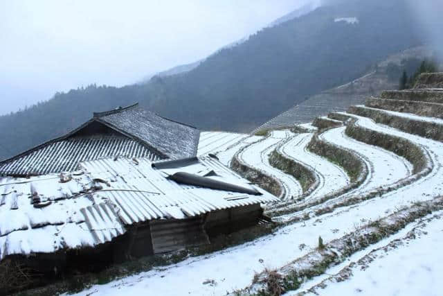 美翻了！龙胜各地雪纷飞