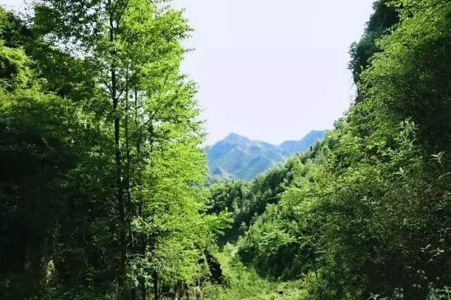 山水琵琶，美景尽在山高处