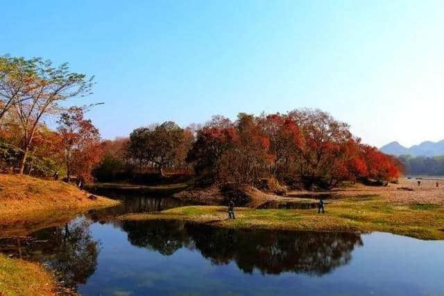 品味广西从北海开始 北海所有A级景点5折优惠背起行囊说走就走