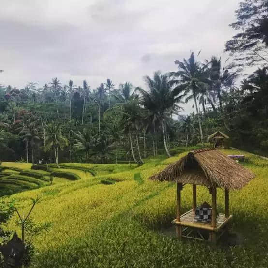 巴厘岛旅拍超强攻略