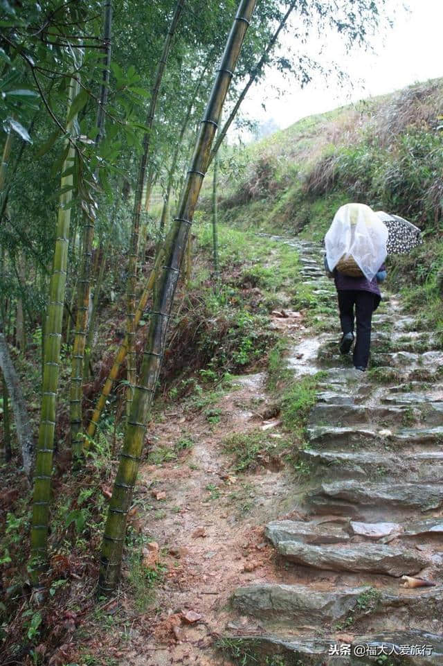 桂林山水体验报告：“龙脊”山路上的瑶寨背夫