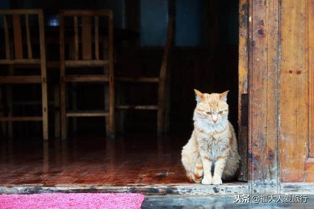 桂林山水体验报告：“龙脊”山路上的瑶寨背夫