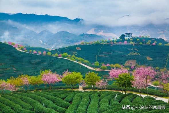 五天时间，带着这份攻略，去畅玩福建龙岩吧