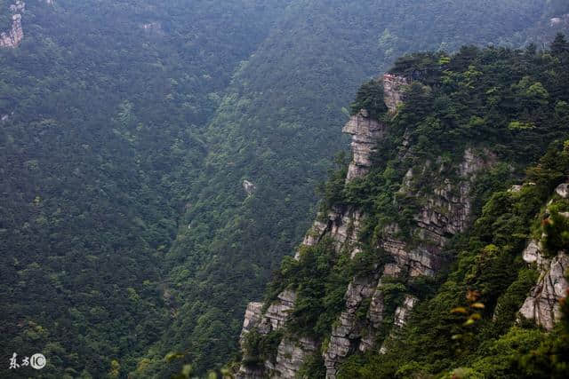 去庐山旅游知道这些很重要