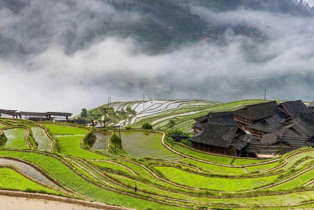 到贵州旅行，这几个体验不得不去，绝不会让你失望的