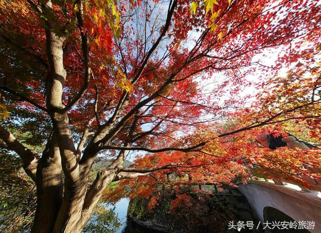 不识庐山真面目，只缘身在此山中，历史悠久的文化名山庐山风景区