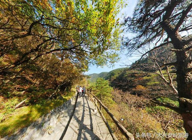 不识庐山真面目，只缘身在此山中，历史悠久的文化名山庐山风景区