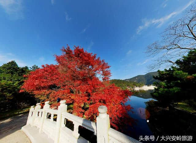 不识庐山真面目，只缘身在此山中，历史悠久的文化名山庐山风景区