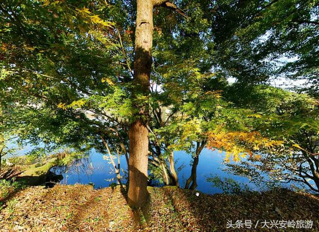 不识庐山真面目，只缘身在此山中，历史悠久的文化名山庐山风景区