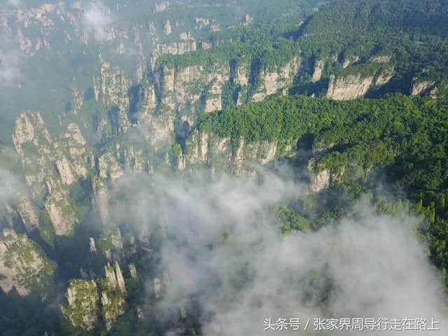 九月十一国庆节去张家界凤凰旅游经典四日游行程攻略推荐