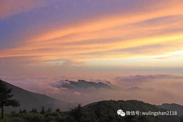 你在热浪里挣扎，我在雾灵山等你