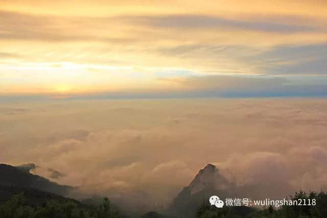 你在热浪里挣扎，我在雾灵山等你