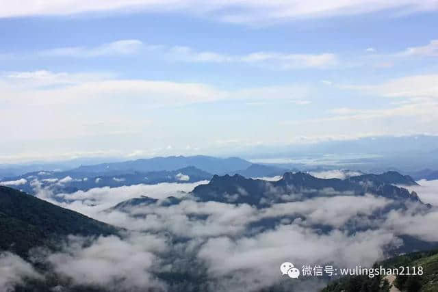 你在热浪里挣扎，我在雾灵山等你