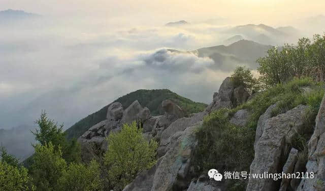 你在热浪里挣扎，我在雾灵山等你