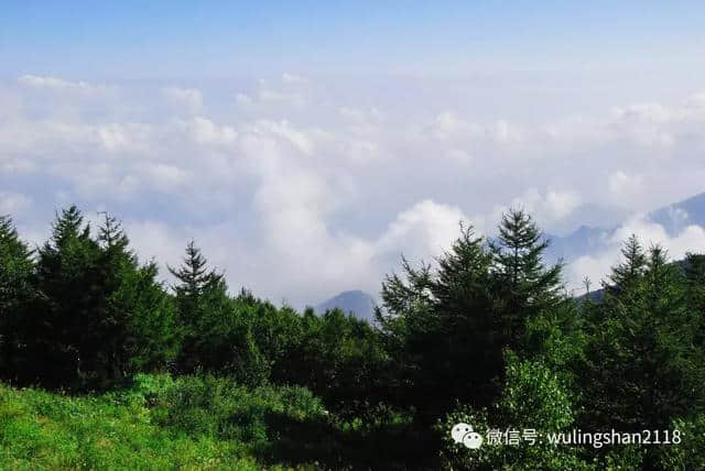 你在热浪里挣扎，我在雾灵山等你