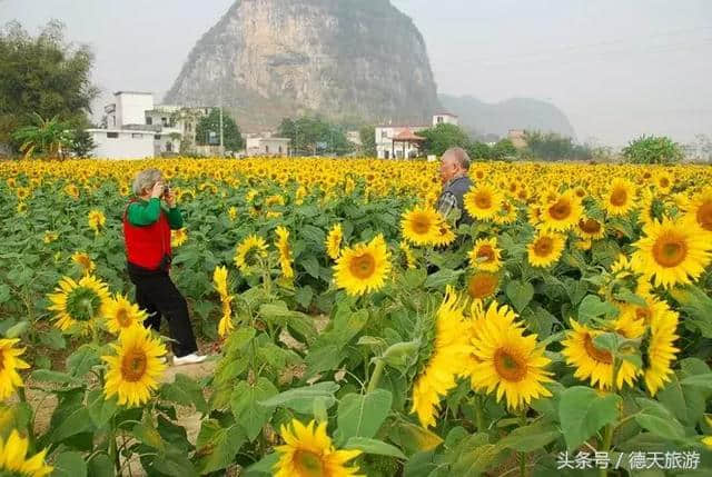 11月你好，广西将成为全国最美的地方！